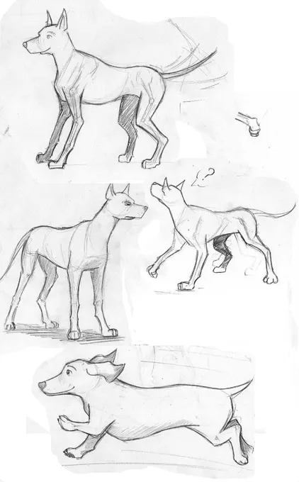 Bocetos de perros xD by Bielkan on deviantART Bocetos de perros xD by Bielkan on deviantART