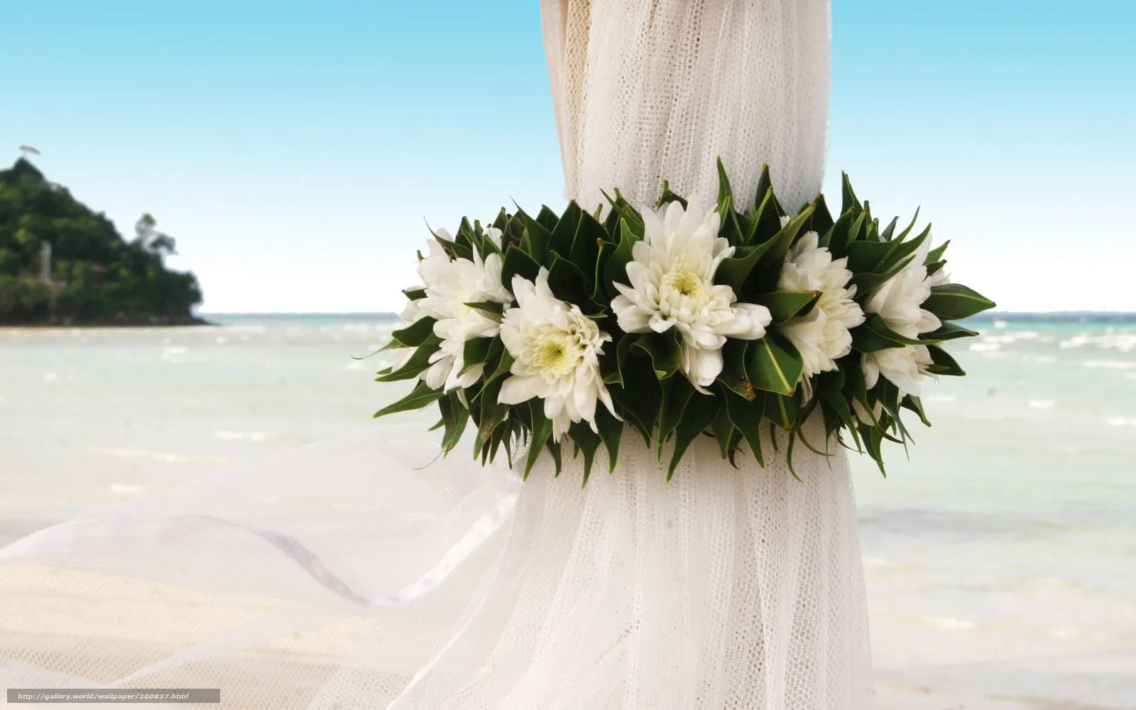  ... boda, evento, 1920x1200 fotos, Imágenes HD y de escritorio, fondo de