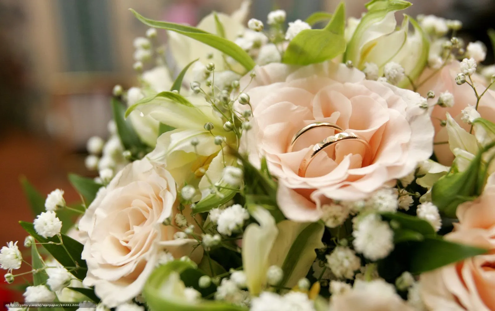 HQ los anillos de boda, ramo de flores, rosas, boda, 3500x2200 imagen ... HQ los anillos de boda, ramo de flores, rosas, boda, 3500x2200 imagen ...