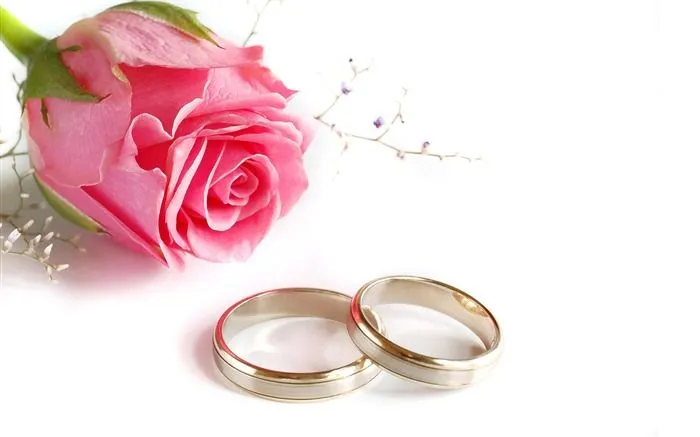 Wallpapers HD anillos para boda - Imagui