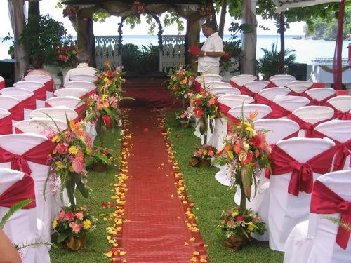 Bodas en el jardín : Novias Radiantes