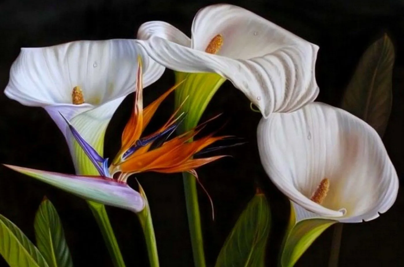 Bodegones de Flores: Naturalezas Muertas | Imágenes Arte Temático Bodegones de Flores: Naturalezas Muertas | Imágenes Arte Temático