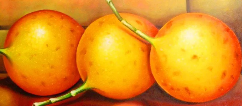 Bodegones con frutas en tríptico | Bodegones y Paisajes Cuadros al ...