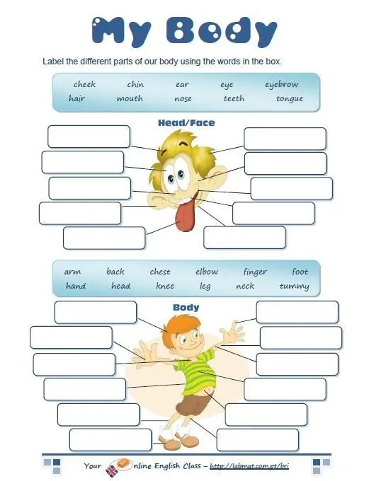 body parts worksheet | English for Kids | Pinterest