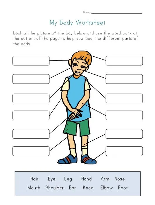 body Worksheets for Kids