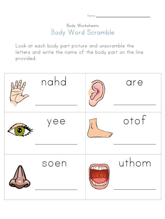 Body Word Scramble Worksheet