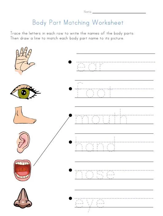 body Worksheets for Kids