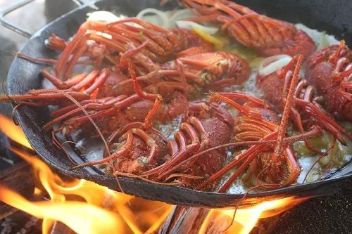 Boipeba, linda e deliciosa, assim como, apesar dos espinhos, as ... Boipeba, linda e deliciosa, assim como, apesar dos espinhos, as ...