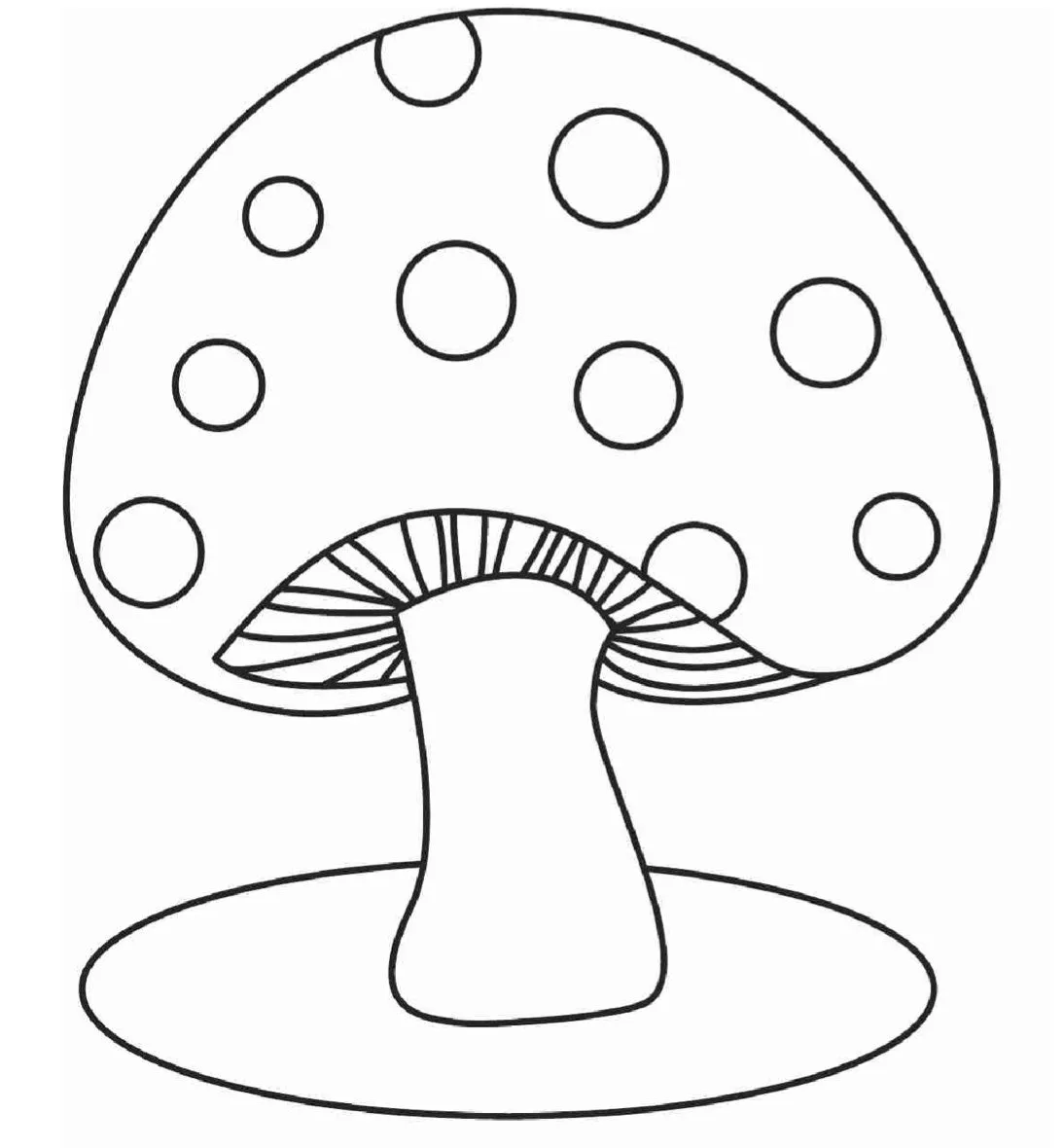 bolet.jpg
