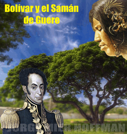 Bolívar y el Samán | UN ENIGMA LLAMADO BOLIVAR
