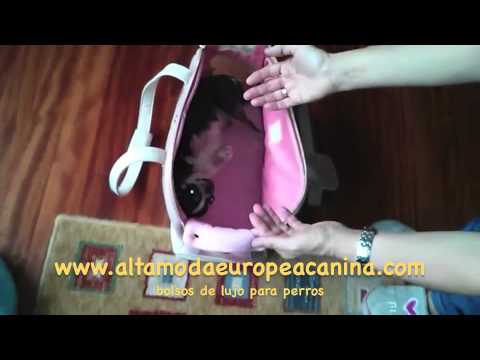 bolsos para perros, bolsos de lujo perros - YouTube bolsos para perros, bolsos de lujo perros - YouTube