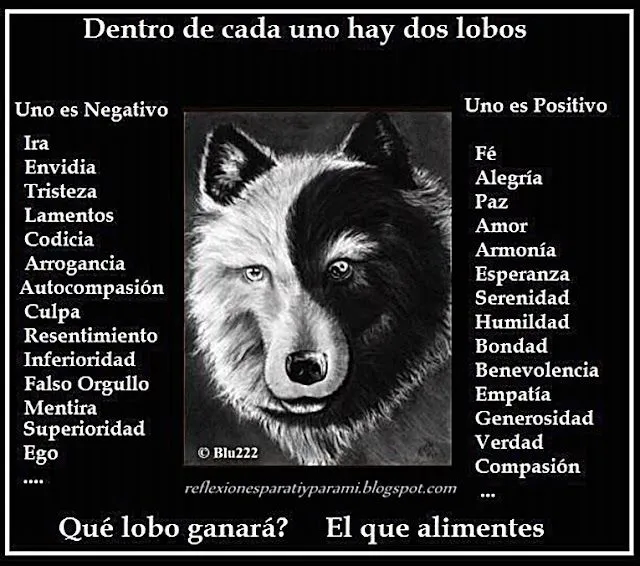 Bonao Internacional: GALERIA DE IMAGENES QUE INVITAN A LA REFLEXION Bonao Internacional: GALERIA DE IMAGENES QUE INVITAN A LA REFLEXION