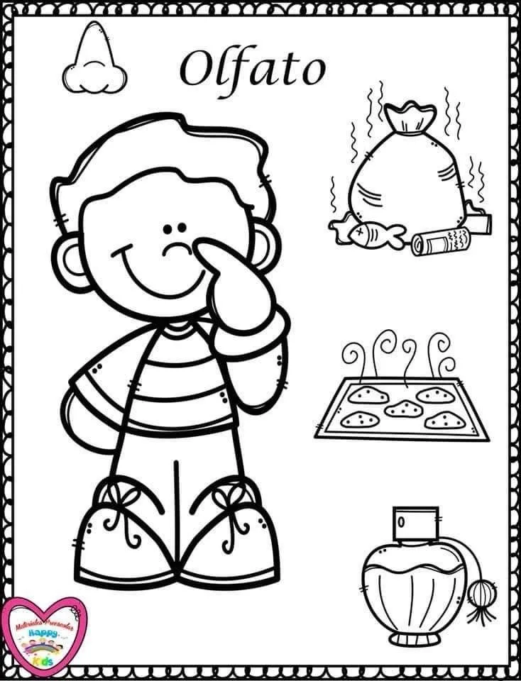 Bonitas láminas para trabajar los 5 sentidos, decora tu clase Bonitas láminas para trabajar los 5 sentidos, decora tu clase