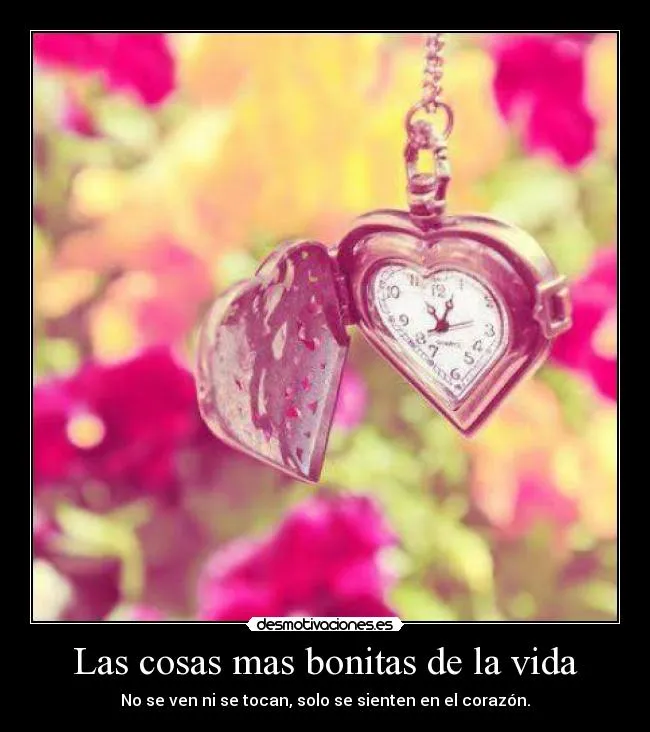 Las cosas mas bonitas de la vida | Desmotivaciones