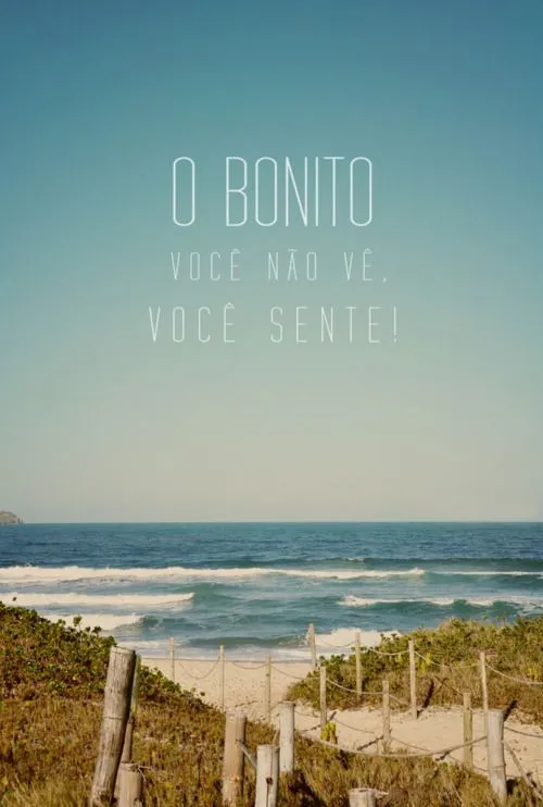 O bonito você sente! | Positividade | Pinterest