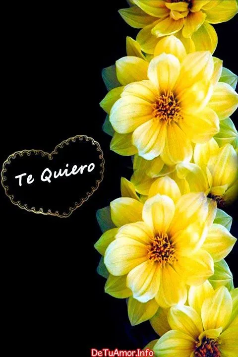 Bonitos fondos de amor para descargar en tu celular de flores ...