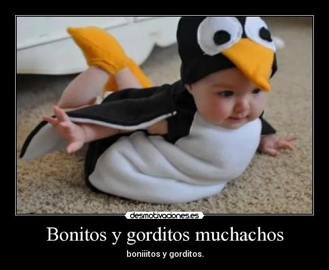 Bonitos y gorditos muchachos | Desmotivaciones