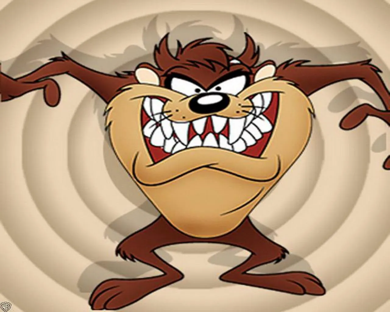 Boomerang Europe: New episodes of Taz-Mania in August Boomerang Europe: New episodes of Taz-Mania in August