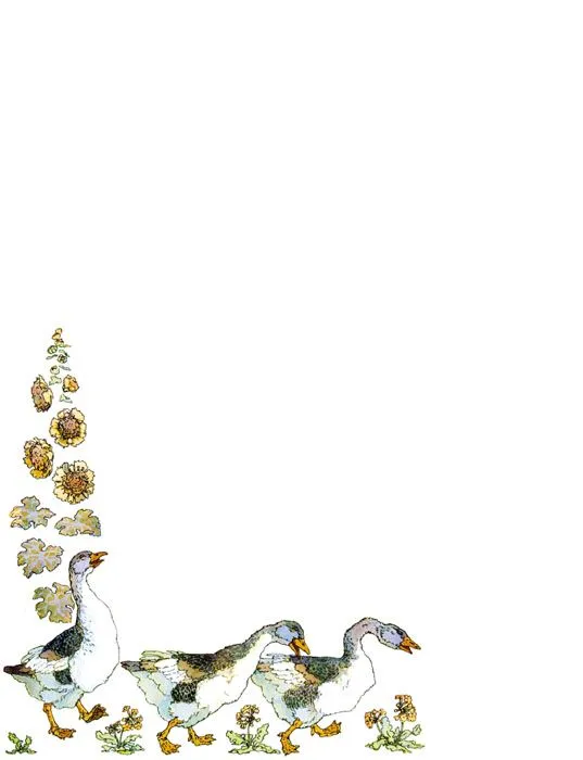 Borde decorativo animales - Imagui