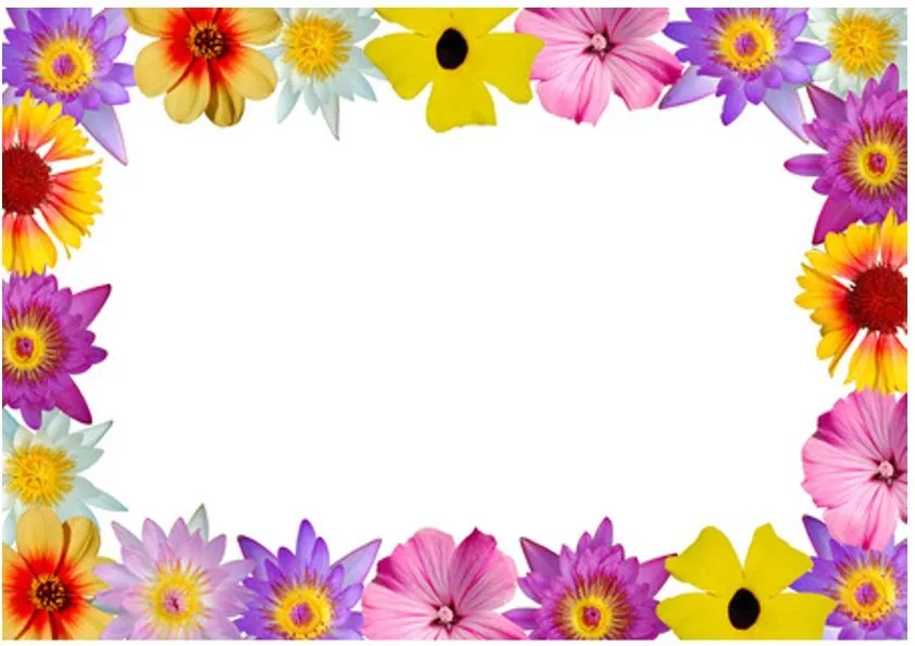 BORDERS FOR KID: DISEÑO GRAFICO CARATULA FLORES BORDERS FOR KID: DISEÑO GRAFICO CARATULA FLORES