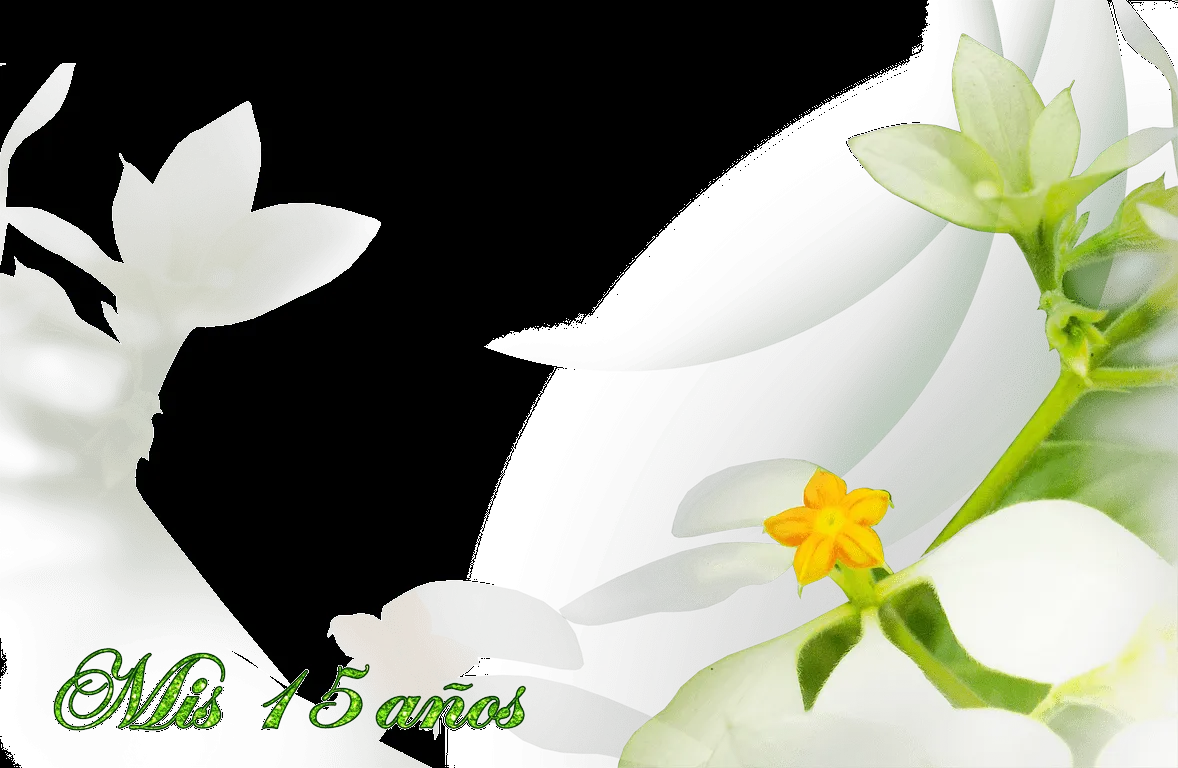 Bordes de Fotos de 15 Años. Tarjetas y mas. ~ Marcos Gratis para Fotografías. Bordes de Fotos de 15 Años. Tarjetas y mas. ~ Marcos Gratis para Fotografías.