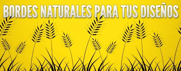 Marcos y bordes naturales - Imagui