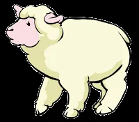 Dibujo de un borrego para colorear - Imagui
