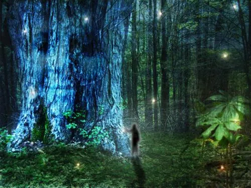 El bosque animado | Una mirada alrededor El bosque animado | Una mirada alrededor