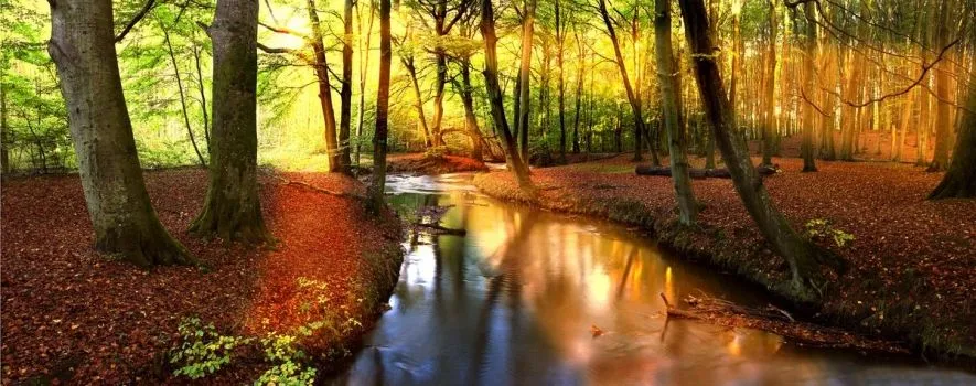 El Bosque de los Cuentos