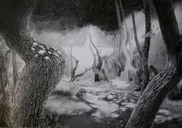 Bosque encantado dibujo - Imagui