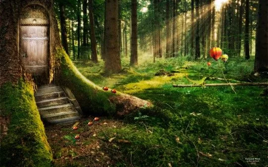 Mis imágenes favoritas: Bosques encantados
