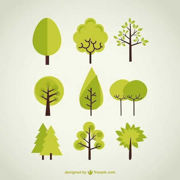 Bosque | Fotos y Vectores gratis