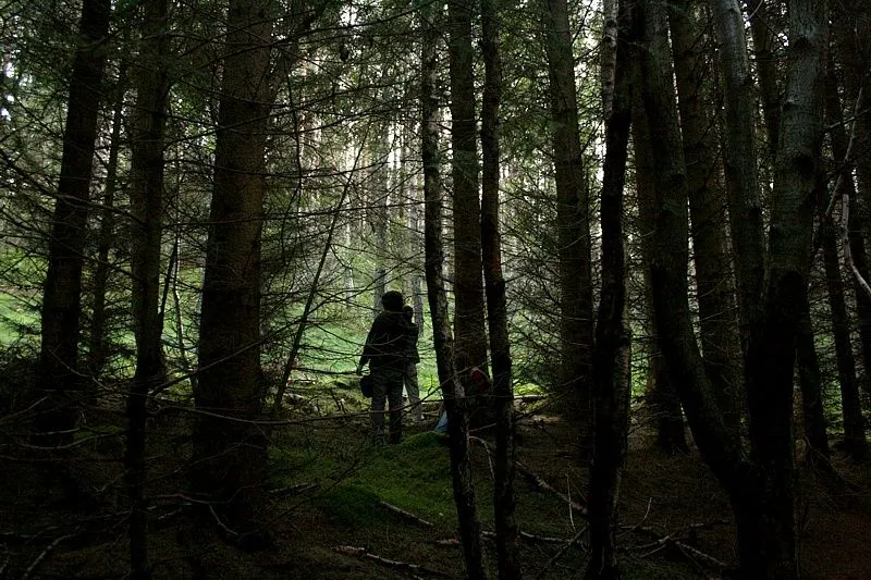 Perdido en un Bosque - Potterfics, tu versión de la historia