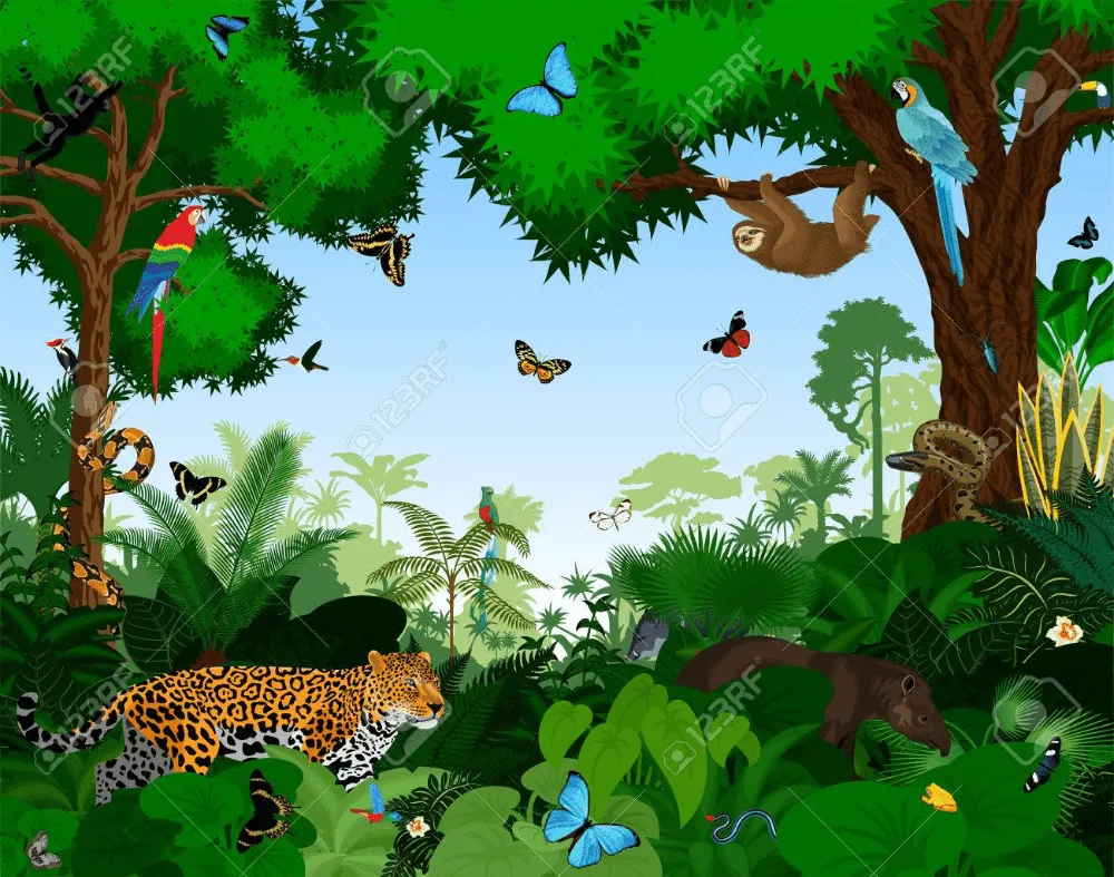 Bosque Lluvioso Con Animales Ilustración Vectorial. Vector Selva Tropical Verde Del Bosque Con Los Loros, El Jag… | Bosque lluvioso, Illustration, Selvas tropicales Bosque Lluvioso Con Animales Ilustración Vectorial. Vector Selva Tropical Verde Del Bosque Con Los Loros, El Jag… | Bosque lluvioso, Illustration, Selvas tropicales