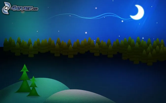 Bosque de noche