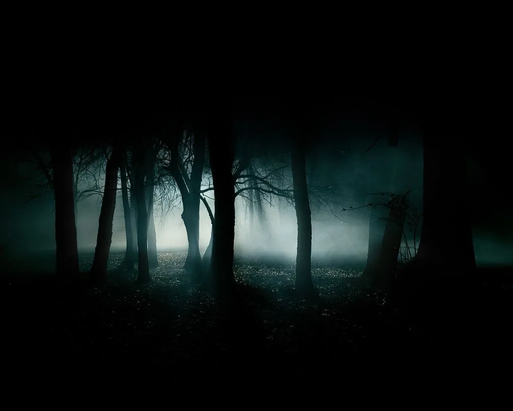 En un Bosque Oscuro, Frío y Desolado… | El Diario de un amor Prohibido En un Bosque Oscuro, Frío y Desolado… | El Diario de un amor Prohibido