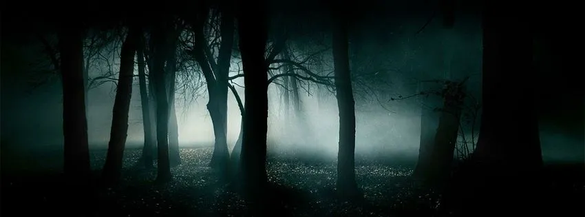 Bosque-oscuro.jpg