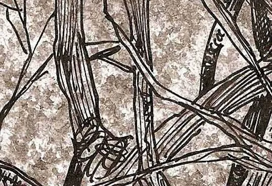Cuando el Bosque Suena | ::Hipermedula.org