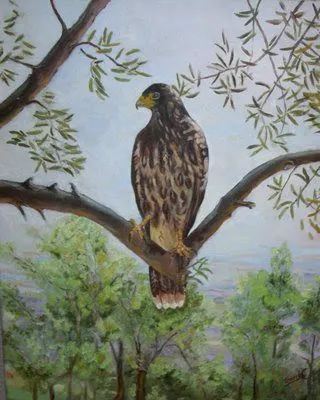 BosqueColorin. Pinturas de Tomi Caballero: Cuadros de varios temas BosqueColorin. Pinturas de Tomi Caballero: Cuadros de varios temas