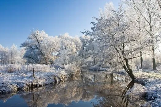 Bosque_con_rio_nevado_ ...