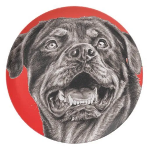 Bosquejo de Rottweiler Platos | Zazzle