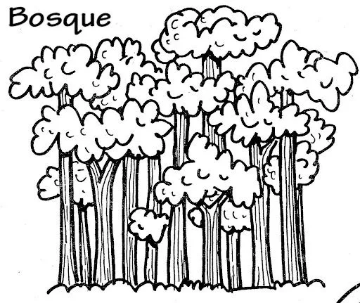 BOSQUE.jpg?imgmax=640