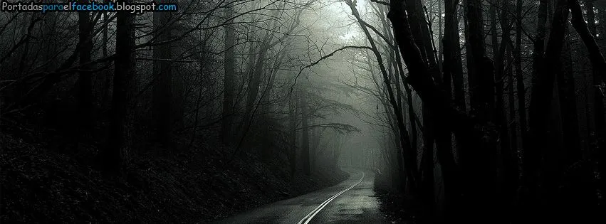 Fotos de bosques oscuros tenebrosos - Imagui