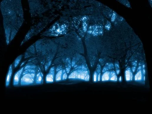 Fondos de pantalla bosques tenebrosos - Imagui Fondos de pantalla bosques tenebrosos - Imagui