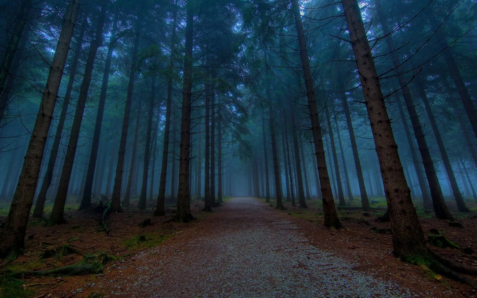 Bosques - Paisajes - 03 - Fondos de Pantalla HD - Wallpapers HD Bosques - Paisajes - 03 - Fondos de Pantalla HD - Wallpapers HD