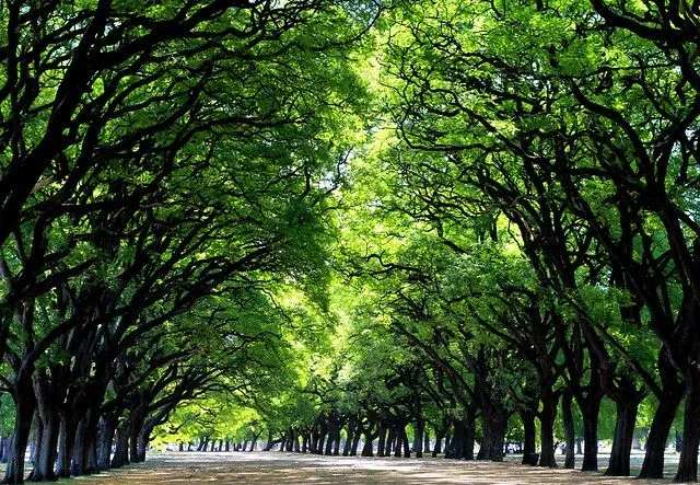 Bosques de Palermo | Flickr - Photo Sharing! Bosques de Palermo | Flickr - Photo Sharing!