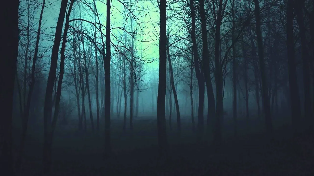 Bosques Tenebrosos Hd