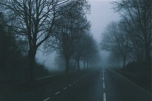 bosques-tenebrosos | Tumblr