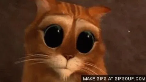 Gato Con Botas GIFs on Giphy