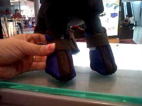 Botas Impermeables para Mascota. - YouTube